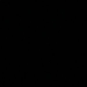 Meet your Posher, Chase